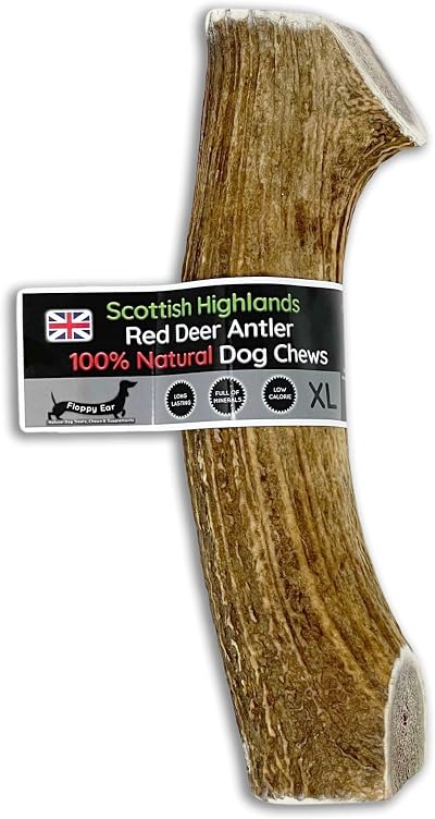 Floppy Ear Deer Antler Chew Extra Large 240-300g Dog Treat