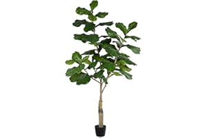 Vickerman 6ft Artificial Potted Fiddle Tree - 65 Large Fiddle Leaves - Tall - Green Silk Artificial Indoor Fiddle Plant - Single Stem - Home Office Decor - Faux Tree for Living Room