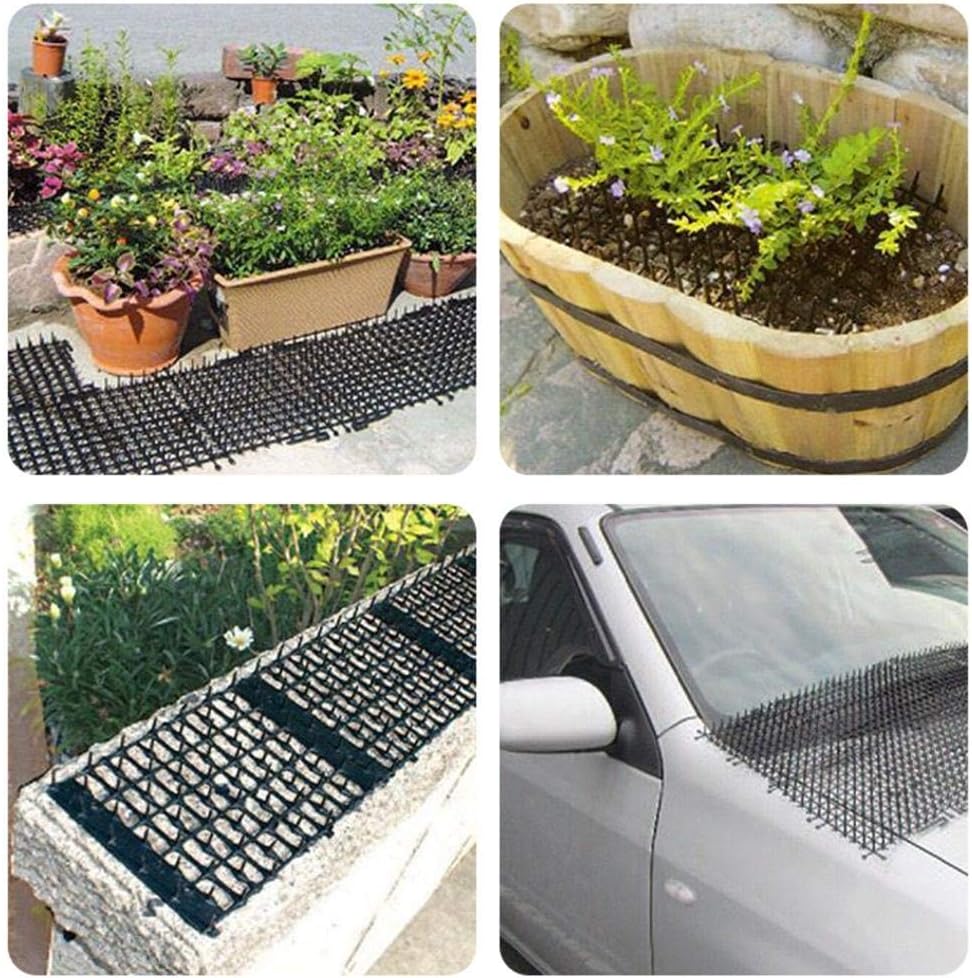 G Wukeer Tapis De Chat De Jardin Bande De Piquants Anti Chats Et Nuisibles Tapis De Dissuasion De Chat Eloignez Les Chats Et Les Chiens Proteger Les Plantes 0cmx30cm Amazon Fr Cuisine Maison