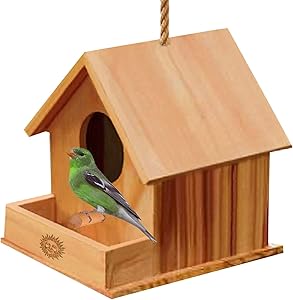SunGrow DIY Paintable Bird House with Porch, Attracts Small Birds, Craft for Kids, Home Decor, Beautiful Gift for All Ages, Hang Bird Feeder Indoors or Outdoors, 1 pc