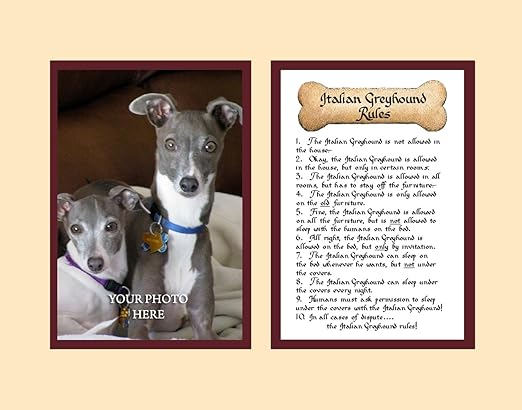 greyhound gifts amazon