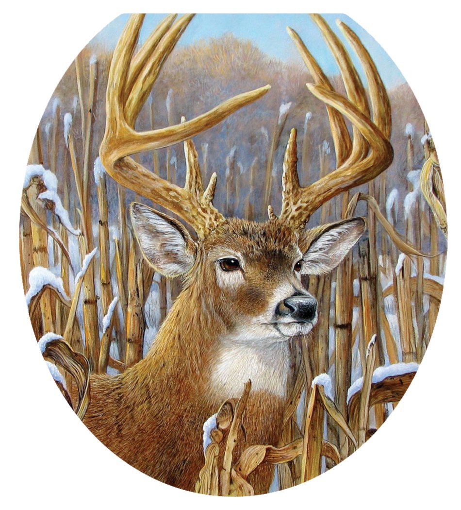 Best round toilet seat decals