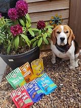 Laughing Dog Teeth and Gum Dental Treats Mint Parsley 125g Grain Free view 5