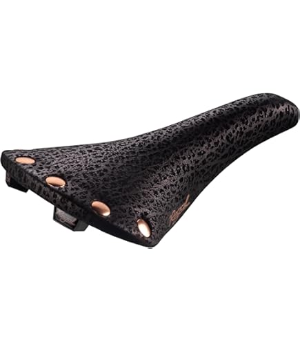 Amazon.com : Selle San Marco Titanio Unisex Adult Saddle