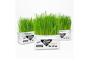 NEKOSEKO Cat Grass Magic Bag, 3 Bags, Indoor Cat Grass kit (Easy to Operate) Open The Bag and Add Water, Ready to Use in a We