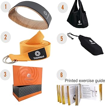 Amazon.com: Juego de 7 ruedas de yoga para estiramiento de ...