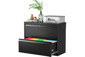 Greenvelly Lateral File Cabinet 2 Drawer, Black Filing Cabinet with Lock, Lockable File Cabinet for Home Office, Locking Metal File Cabinet for Legal/Letter/A4/F4 Size with Hanging Bars&Key