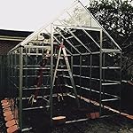 Review Image by The Saucers The Saucers