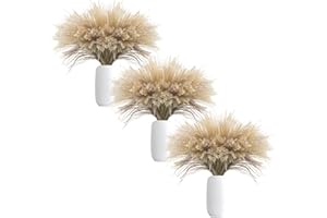 Uieke 300Pcs Natural Dried Pampas Grass Plume 17inch Tall Dried Flowers Bulk Reed Dried Plants for Wedding Flower Arrangements Farmhouse Wreath Door Centerpiece Home Décor Brown
