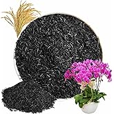 Horticultural Charcoal, Rice Husk Natural Activated Charcoal for Plants Indoor Biochar Soil Amendment Organic for Terrariums - 2.2 lbs