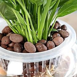 Halatool 2 LB Natural Expanded Clay Pebbles for