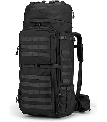 Osprey Aether Plus 85L Men's Backpacking Backpack, Black, S/M : Sports & Outdoors