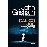 Calico Joe: A Novel