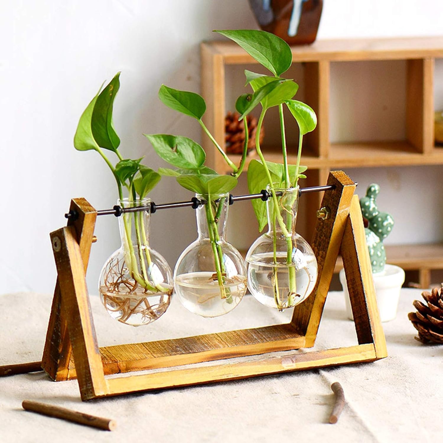 XXXFLOWER Plant Terrarium with Wooden Stand, Air Planter Bulb Glass Vase Metal Swivel Holder Retro Tabletop for Hydroponics Home Garden Office Decoration - 3 Bulb Vase: Pet Supplies