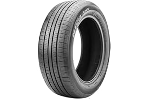Nexen NPriz AH5 All- Season Radial Tire-225/60R16 98T