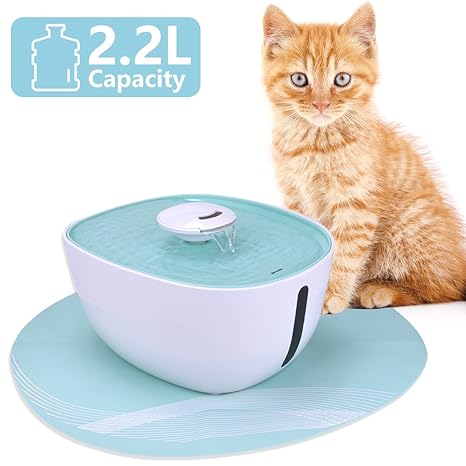 Dewel Fontaine à Eau Fontaine Cascade 22l Filtrer Odeurs Et Bactéries Avec Tapis Pour Chienschats Petite Ou Moyenne