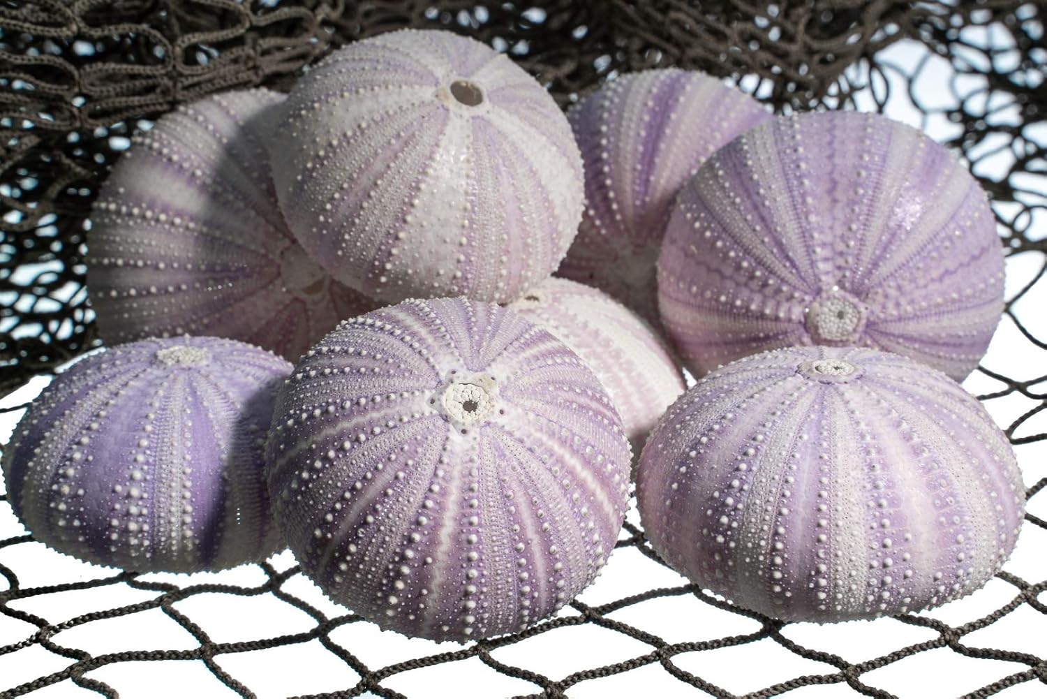 Download Nautischthemenorientiertes spiegel Free