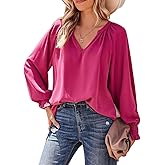 Am Direct Womens Blouses Dressy Casual Fashion Smocked Long Lantern Sleeve V Neck Chiffon Shirts Tops Spring Outfits Clothes
