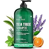 Botanic Hearth Tea Tree Shampoo For Men &amp; Women - 16 Fl Oz | Clarifying Shampoo Enriched With 100% Pure Tea Tree Oil, For Itchy And Dry Scalp, Sulfate/Paraben Free | All Hair Types