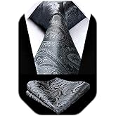 HISDERN Paisley Ties for Men Solid Tie Handkerchief Floral Men's Necktie & Pocket Square Set Wedding Classic Mens Ties