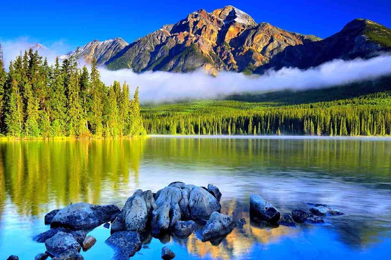 Yellow Alley® Nature Wall Poster StickerScenery Wall PosterNature