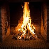 GardenCo 8 Net Pack Kiln Dried Kindling Wood 20kg Fire Starters view 8