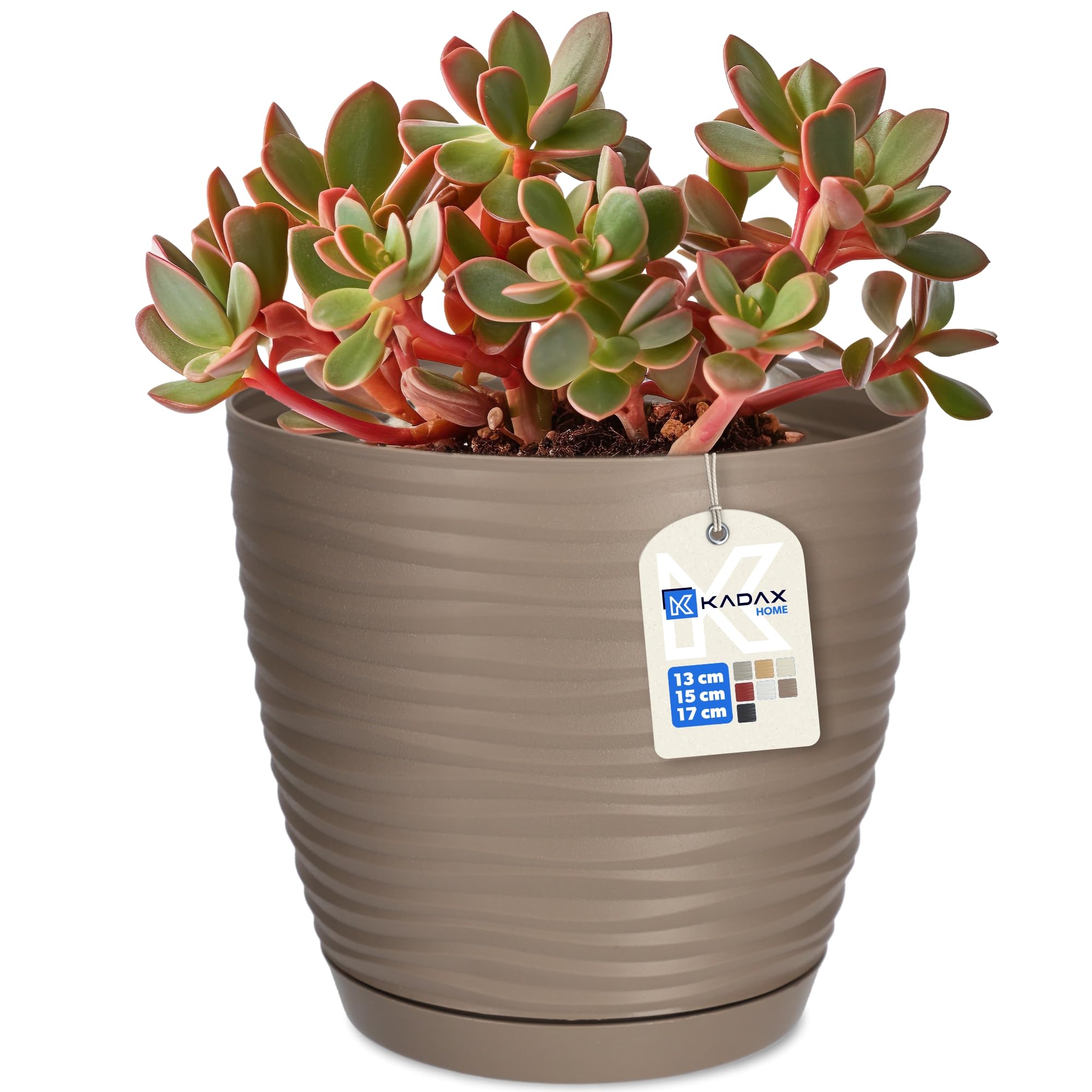 KADAX Flower Pot, Plastic Plant Pot with Saucer, Indoor Planter for Houseplants, Herbs, Lightweight Flowerpot for Living Room, Office (⌀13cm, Beige)