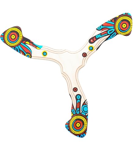 Amazon.com: toysmith 74110 Soft Indoor Ziparang Boomerang : Sports