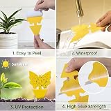 SHATCHI 90 Pcs Fruit Fly Traps Double Sided Sticky Fly Catcher Yellow view 2