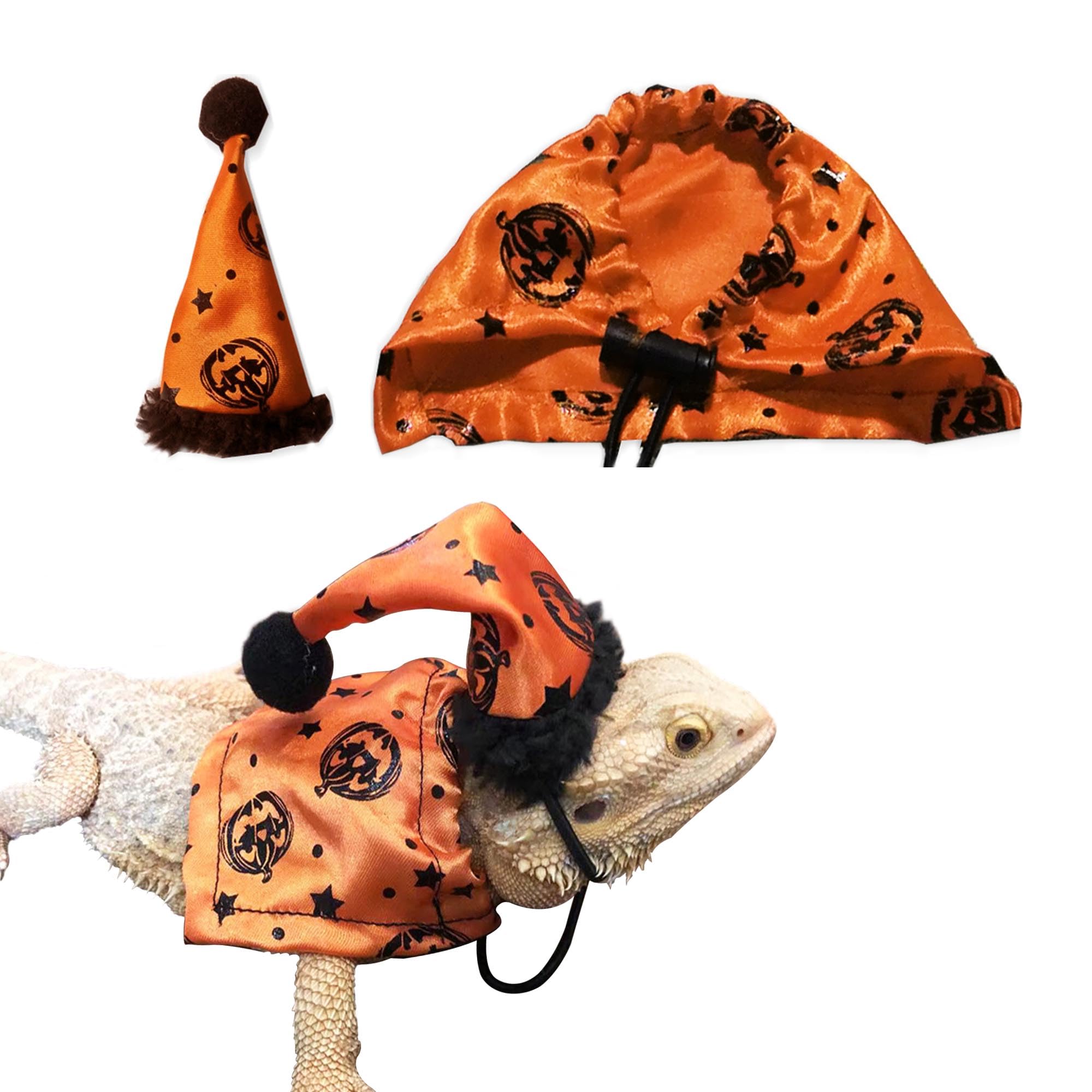 CQJ Bearded Dragon Lizard Cape Witch Hat Set for Small Pets