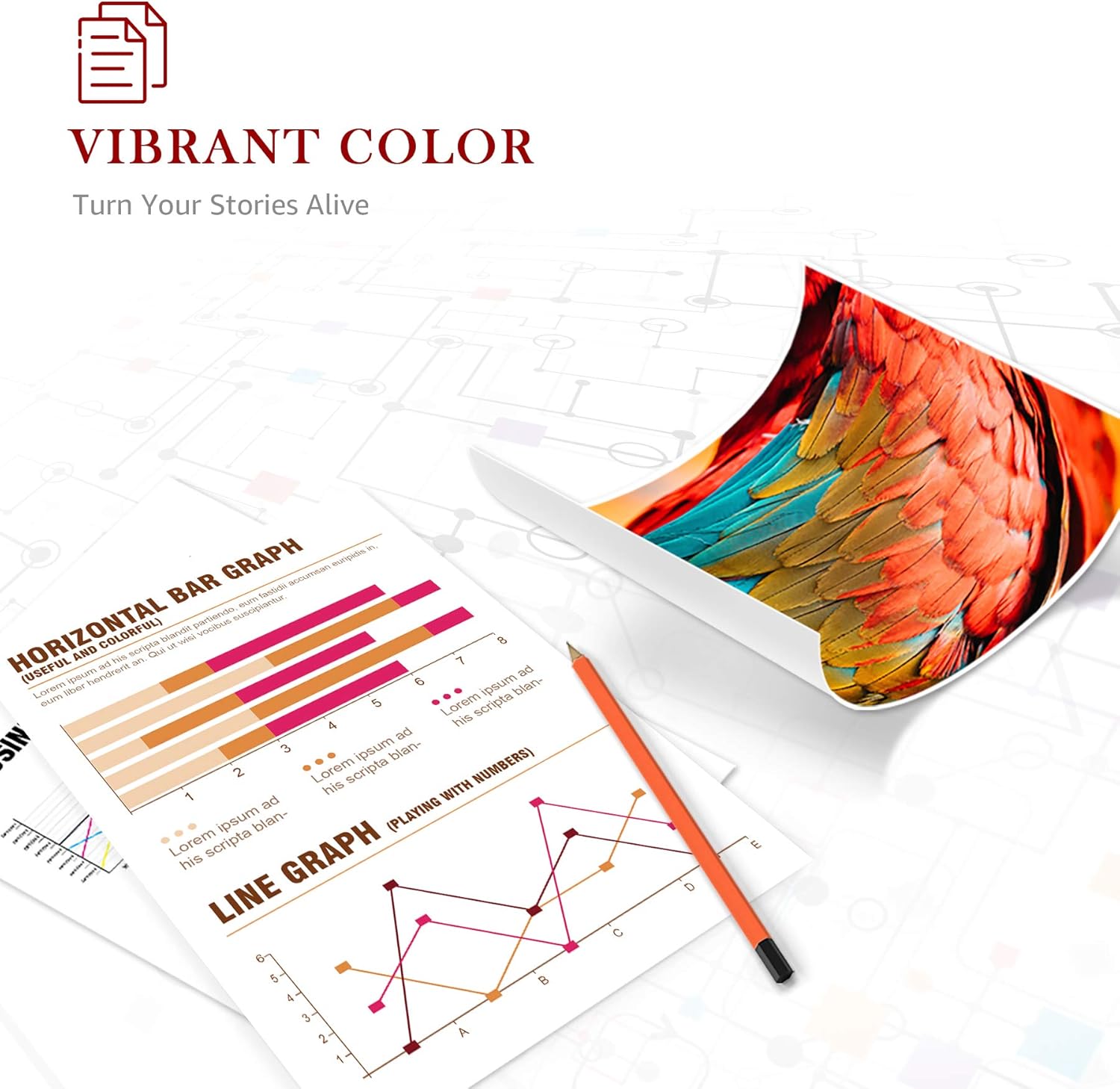 Toners Y Tinta De Impresora Cartuchos De Tinta Informatica Toner Kingdom 603xl Cartucho De Tinta Compatible Para Epson 603 603xl Para Epson Expression Home Xp 2100 Xp 2105 Xp 3100 Xp 3105 Xp 4100 Xp 4105 Workforce Wf 2810