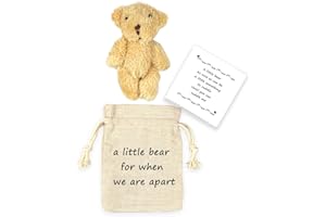 LUOKIFUR Pocket Bear Gift Long Distance Teddy Bear I Love You/Couple Memorial/Missing You Gift (we are Apart)