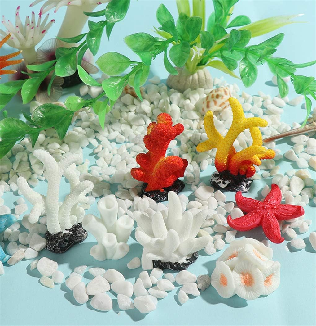 Игрушки растущие в воде. Кораллы игрушка. Игрушка вырасти кораллы. Кораллы маленькие. Кораллы игрушка.