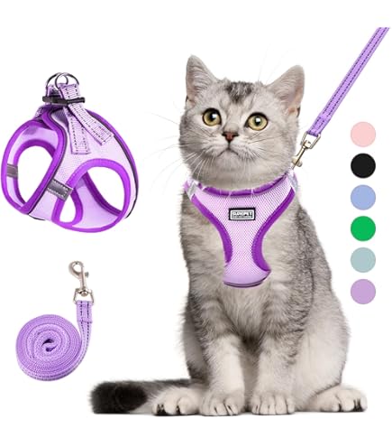 Amazon Target Cat Leash Filbert Cat Harness And Leash Set With