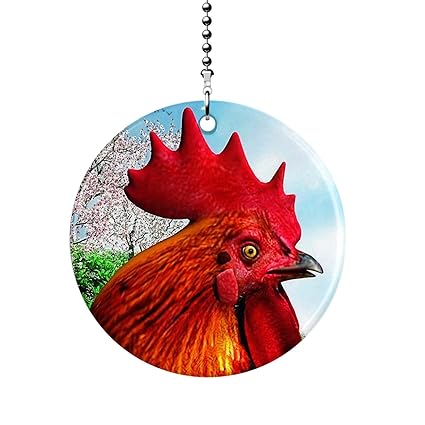 Amazon Com Gotham Decor Spring Rooster Fan Light Pull Home Kitchen