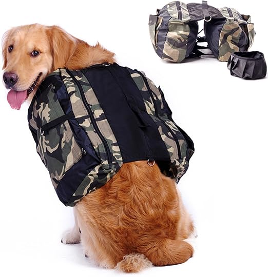 backpack to carry dog supplies