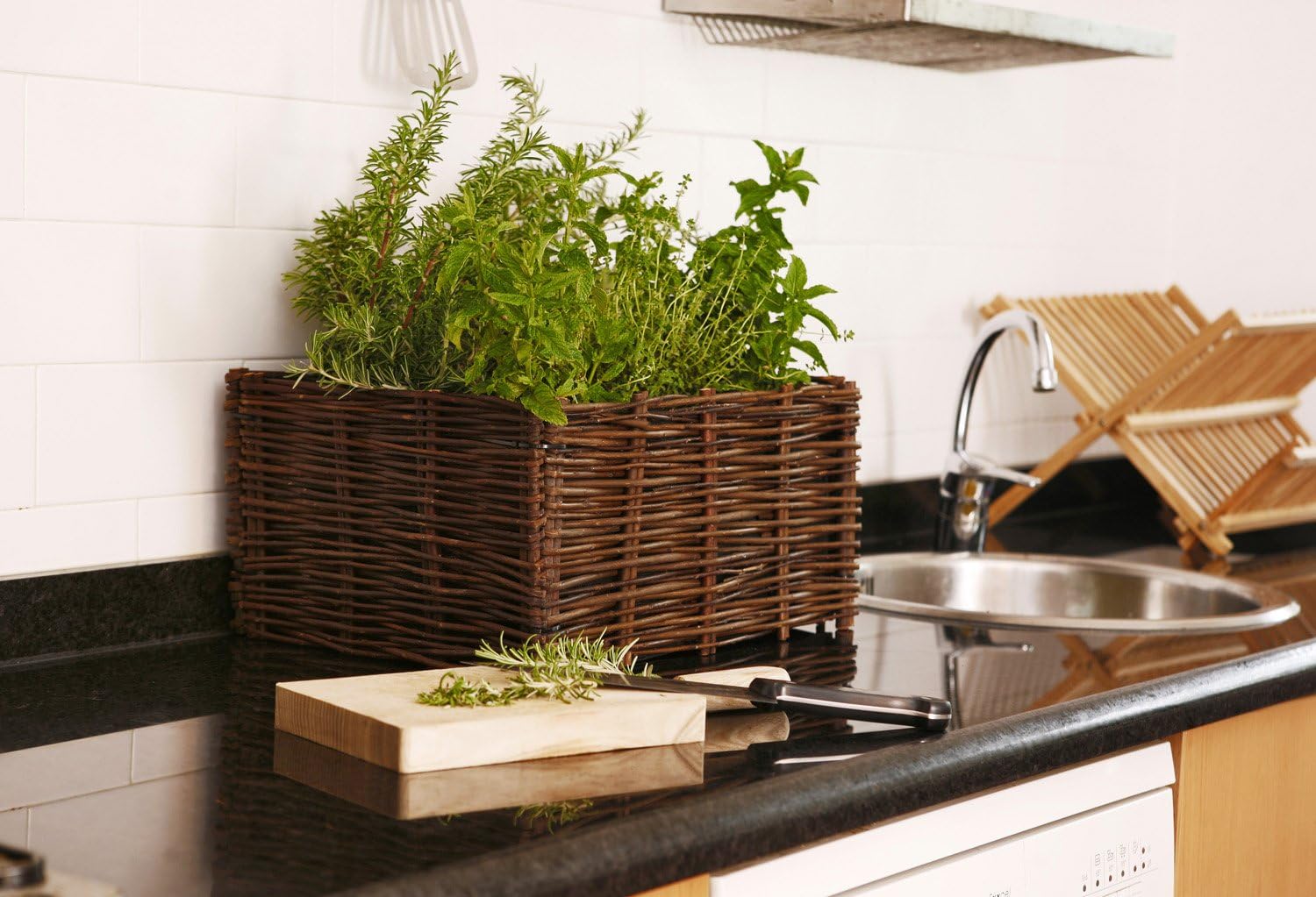 Catral 71080002 - huerto urbano kit planter, 40 x 40 x 50 cm ...