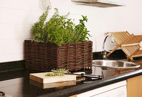 Catral 71080004 - huerto urbano kit planter, 100 x 40 x 40 cm ...