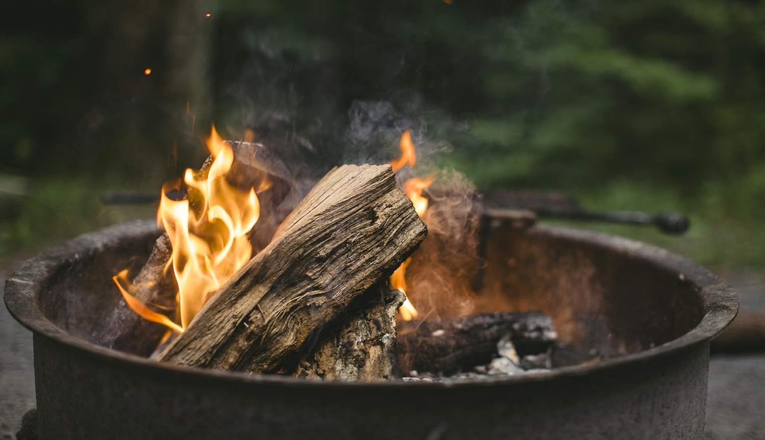 Hardwood Kiln Dried Ash Firewood Logs for fire Pit 20kg / Chunky Logs Perfect for Pizza Ovens Fire Pits, Chiminea - Image 5