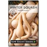 Sow Right Seeds - Rampicante Tromboncino Squash Seed for Planting Garden | Plant non-GMO heirloom for outdoor home vegetable gardening. Italian climbing summer or winter variety for growing outside.