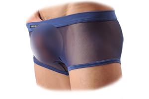 Evankin Men's Underwear Sexy Mesh Breathable Boxer Briefs Low Rise Cool Valentines Boxers Pack Set