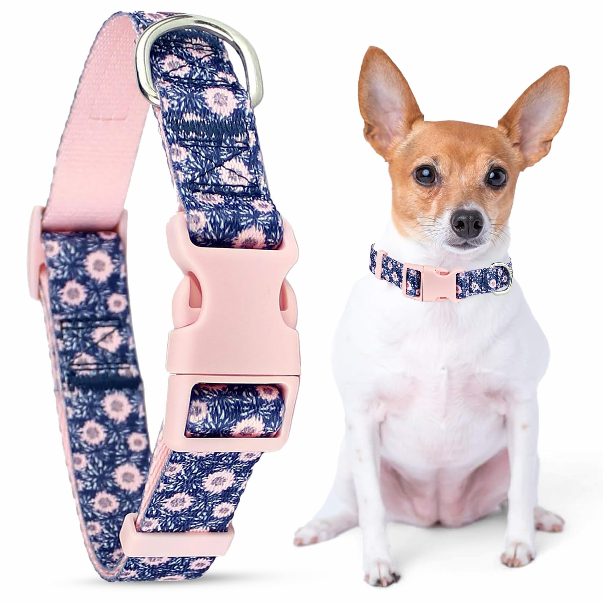Parisian Pet Adjustable Nylon Dog Collar | Midnight Blossoms - Girly Dog Collar | Size - M