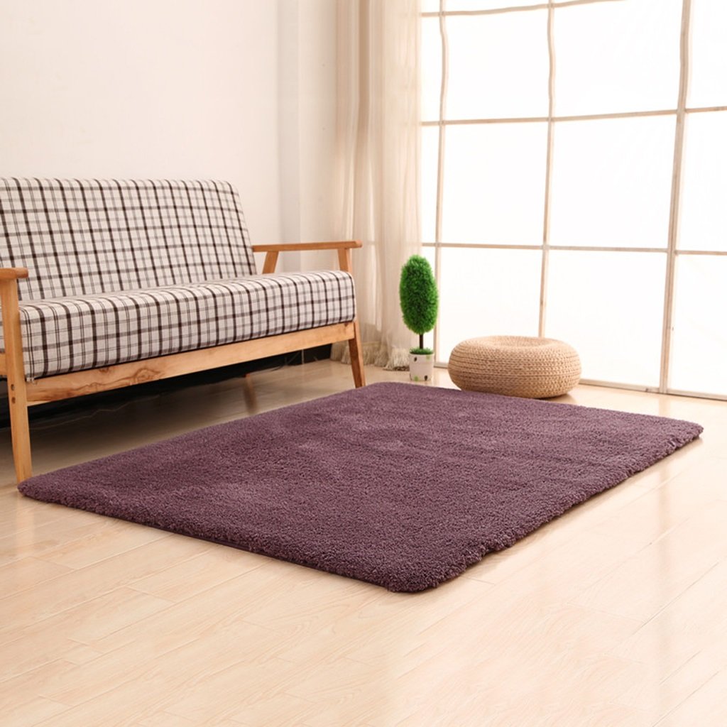 Carpet Door Mats Door Closet Room Mats Living Room Bedroom