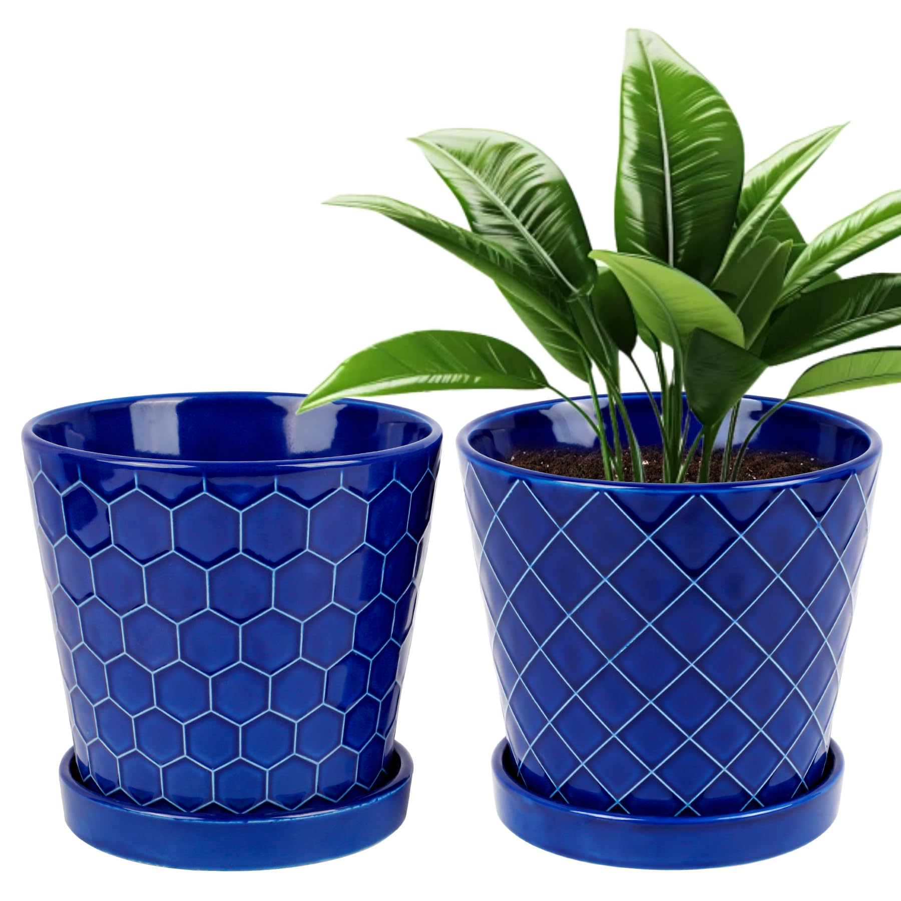 Photo 1 of BUYMAX Plant Pots Indoor –6 inch Ceramic Flower Pot with Drainage Hole and Ceramic Tray - Gardening Home Desktop Office Windowsill Decoration Gift, Set of 2(Royal Blue)