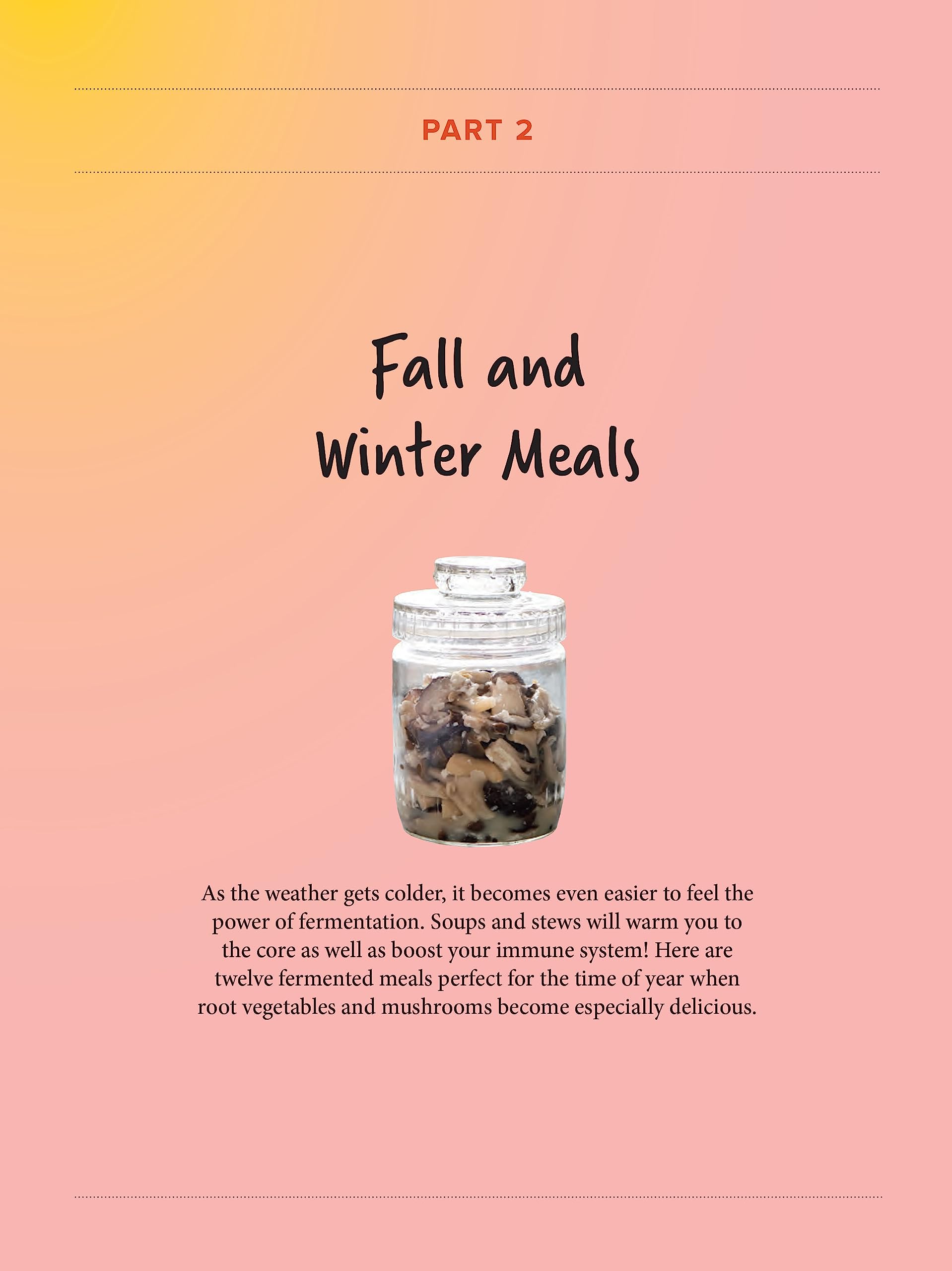 A Beginner's Guide to Japanese Fermentation: Healthy Home-Style Recipes Using Shio Koji, Amazake, Brown Rice Miso, Nukazuke Pickles & Much More!