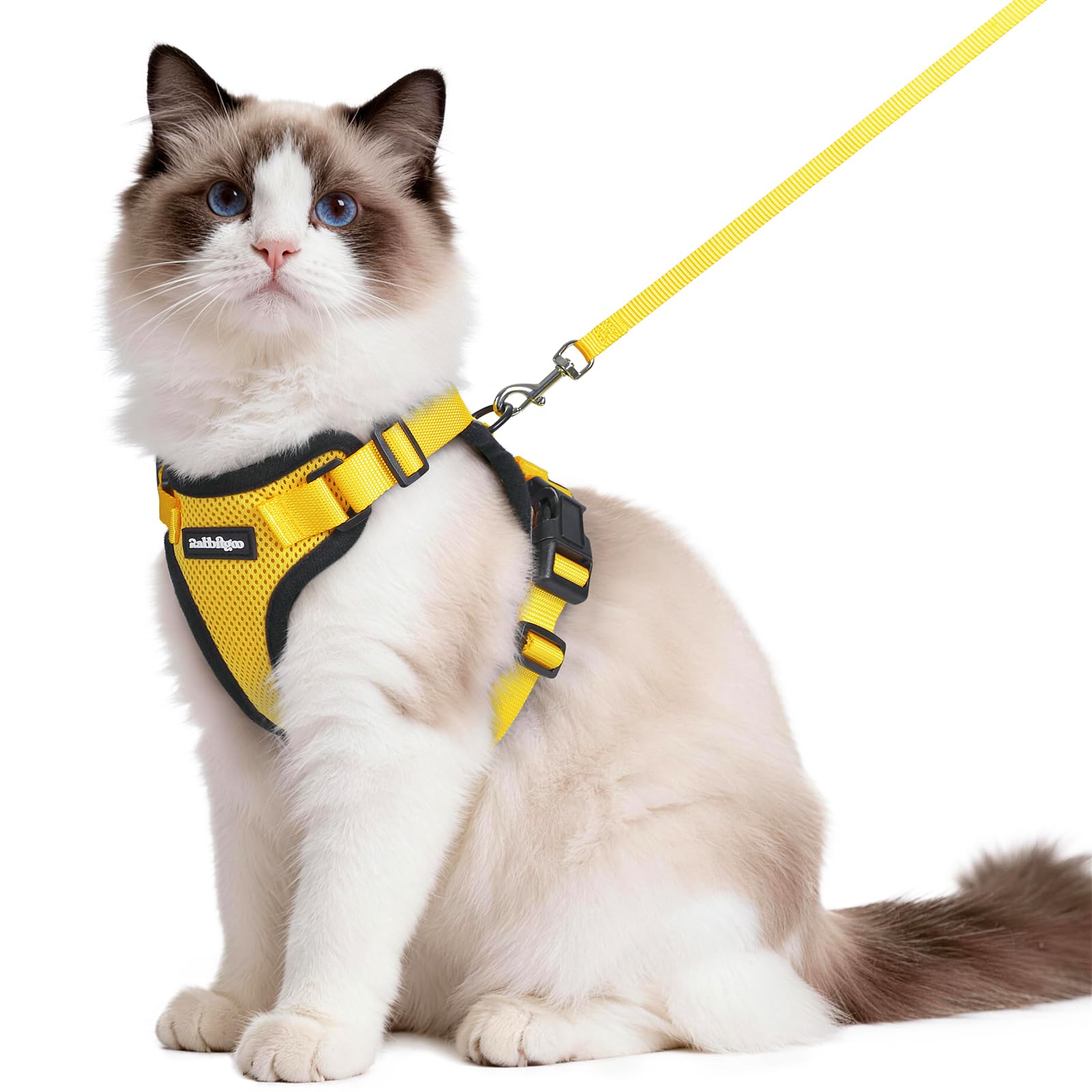 rabbitgoo Cat Harness and Lead Set, Adjustable Escape Proof Cat Lead for Walking, Reflective Kitten Harness Set, Soft and Comfortable for Medium to Large Cats, Yellow, M