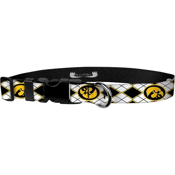 iowa hawkeye dog collar