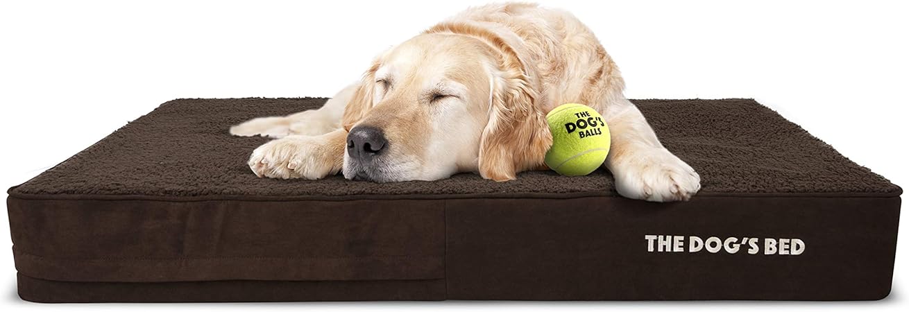 the dogs balls dog bed