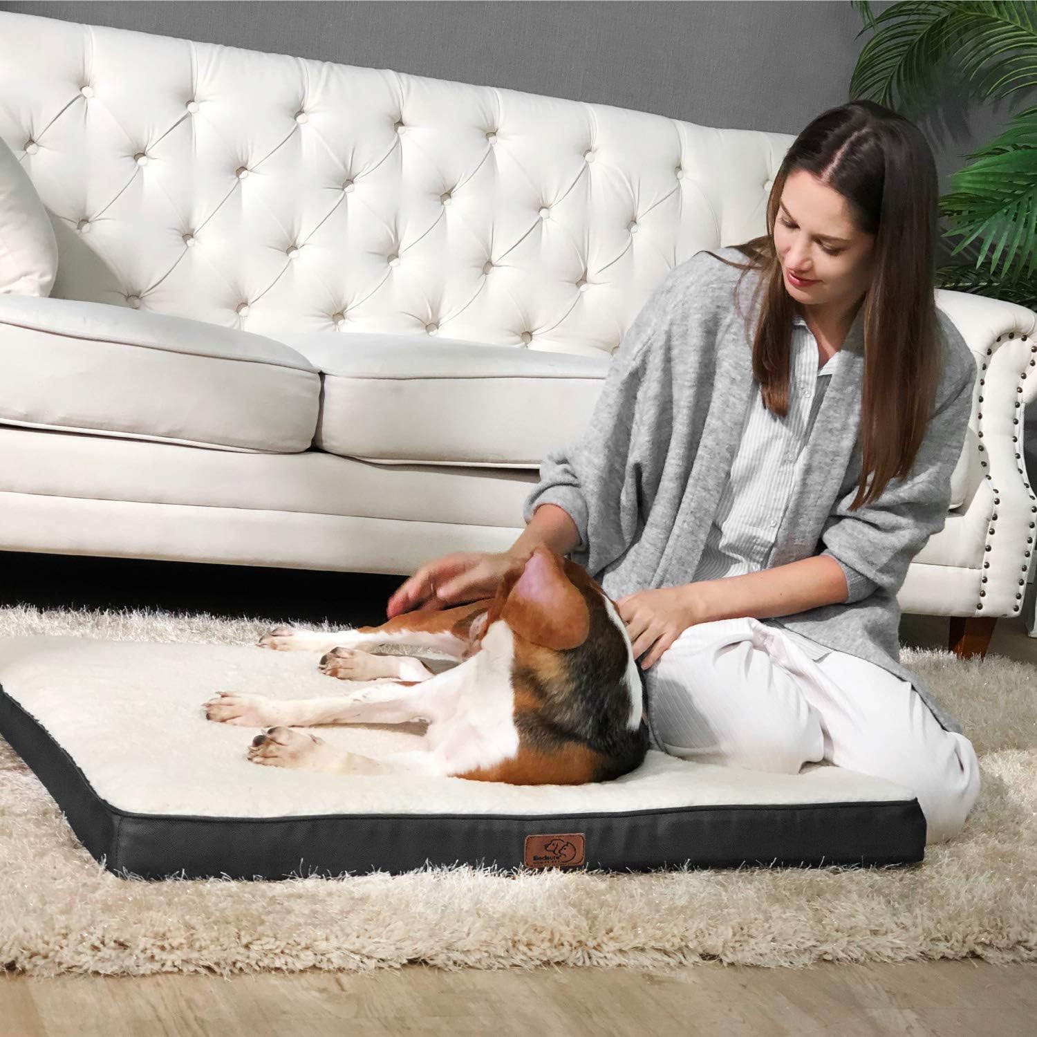 Bedsure Medium Dog Bed for Small, Medium Dogs/Cats Up to 50lbs - Orthopedic Egg-Crate Foam with Removable Washable Cover - Water-Resistant Pet Mat for Crate, Grey : Pet Supplies