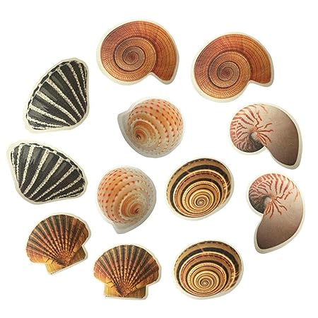 Baby Bad Aufkleber Anti Rutsch Conch Dusche Aufkleber Safe für Familie Kind Baby Kinderspaß, 12pcs